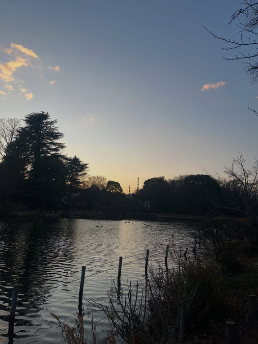 画像1489