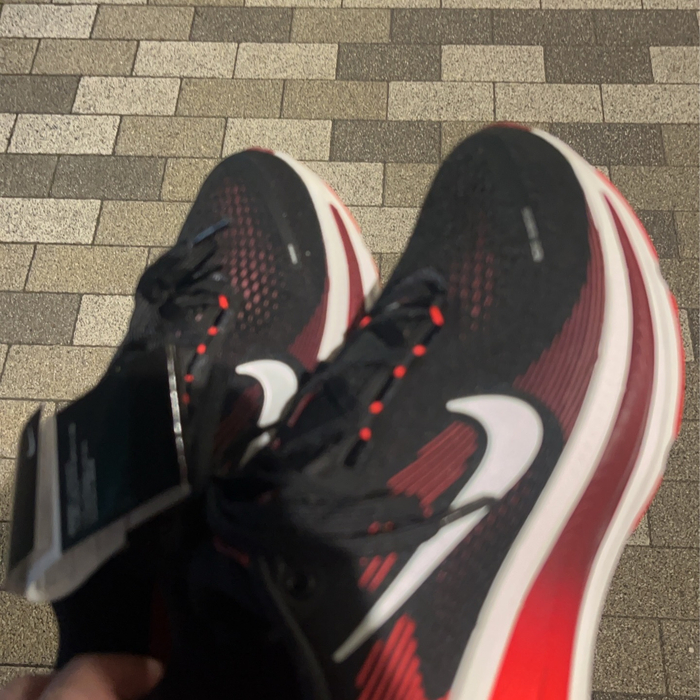 画像1501