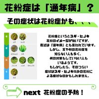 画像305