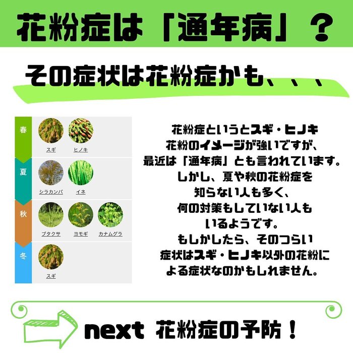 画像305