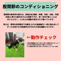 画像379