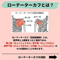 画像436