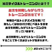 画像445