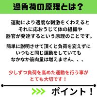 画像500
