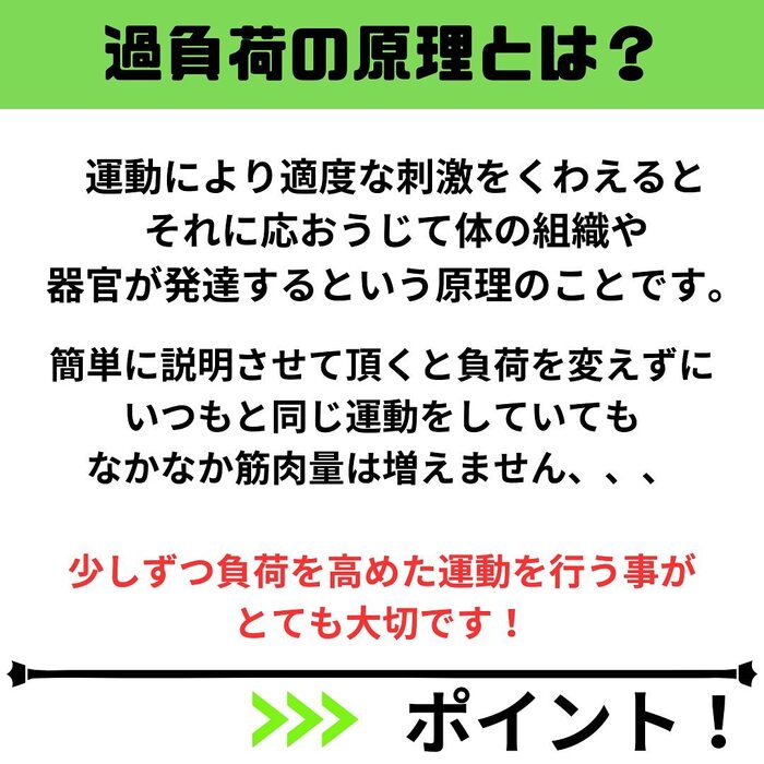 画像500