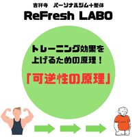 画像528