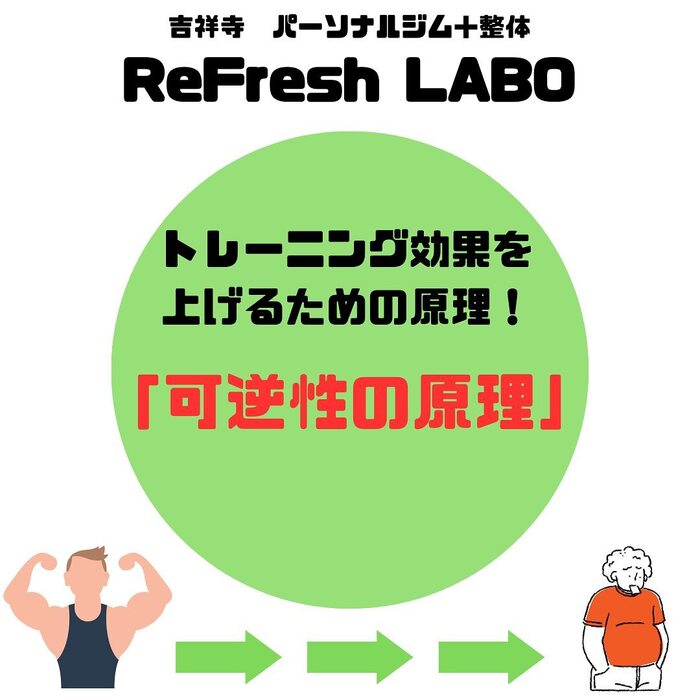 画像528