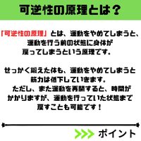 画像529
