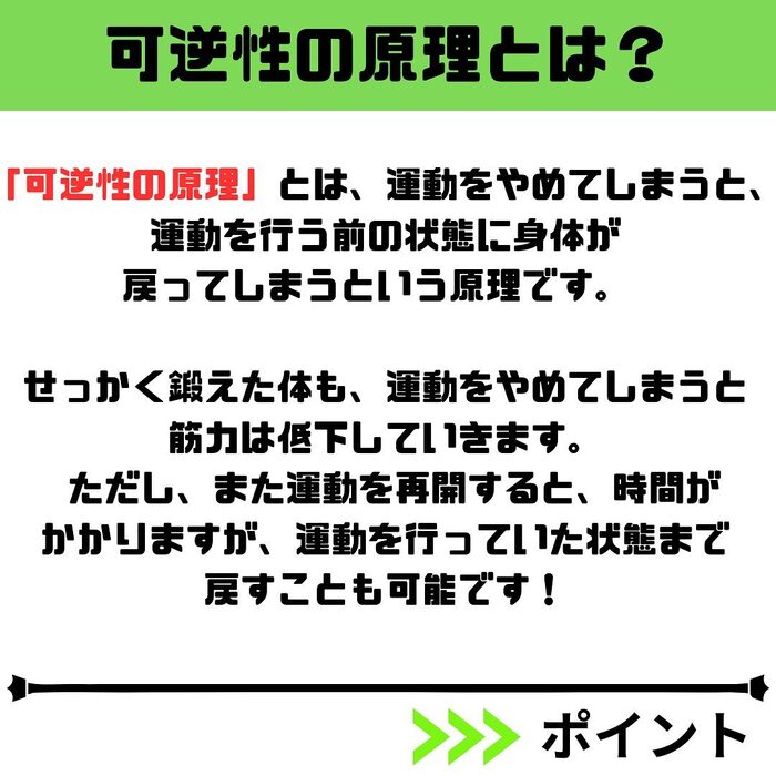 画像529