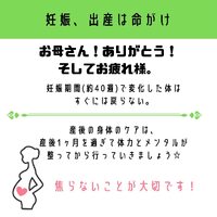 画像535