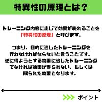 画像546