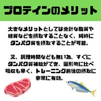 画像568
