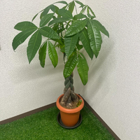 画像862